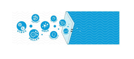 Air particulates being stopped by air filter
