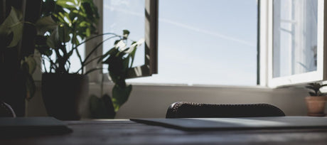 Open window with blue sky outside and green plants inside
