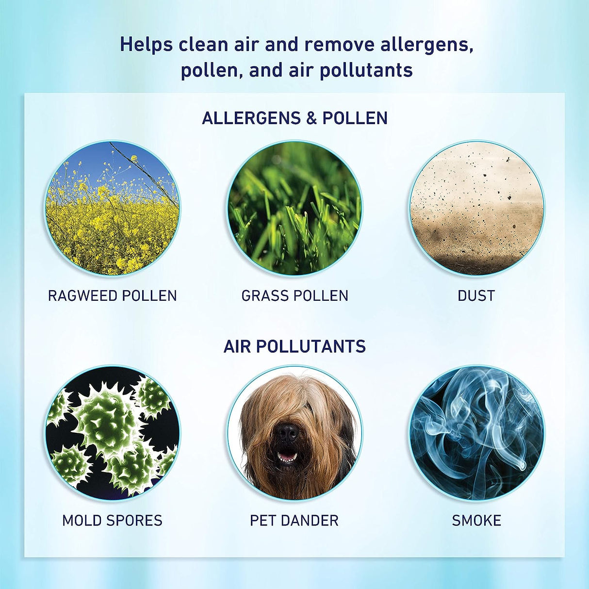 Holmes HAPF300AHD True HEPA Allergen Remover Air Purifier Filter (Pack of 2)