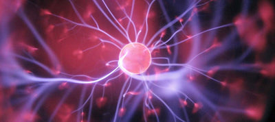 Home Solutions to Cope with Sensory Processing Issues and Sensitivities