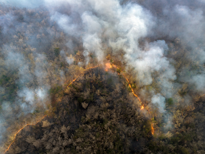 Coping with Wildfire Smoke: Protecting Your Indoor Air Quality