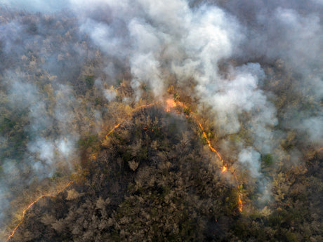 Coping with Wildfire Smoke: Protecting Your Indoor Air Quality