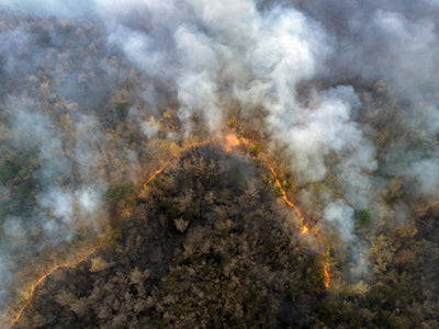Coping with Wildfire Smoke: Protecting Your Indoor Air Quality