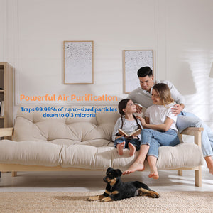 Air Purifier Filters